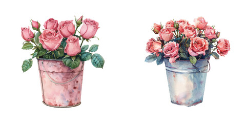 bucket of roses watercolor vector illustration