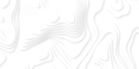 Papercut layers and paper cut topography vector art background banner texture. Abstract white paper cut background with realistic shapes. Modern vector illustration for concept design.