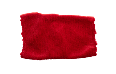 a frayed and torn piece of red rag
