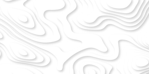 Papercut layers and paper cut topography vector art background banner texture. Abstract white paper cut background with realistic shapes. Modern vector illustration for concept design.