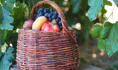 There are various summer fruits in the basket.