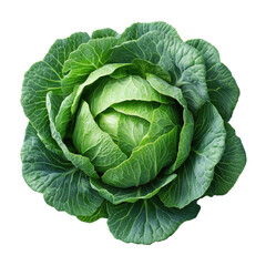 Fresh ripe whole cabbage isolated on transparent background