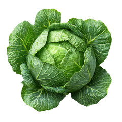 Obraz premium Fresh ripe whole cabbage isolated on transparent background