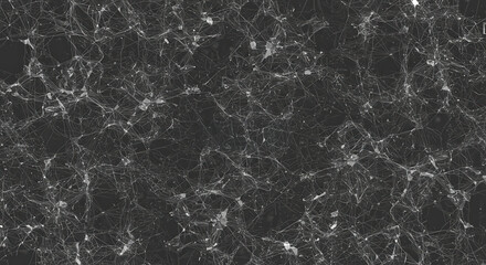 Abstract network of connected lines and nodes on a dark background.