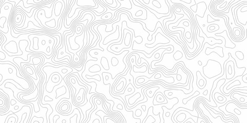 Vector geographic contour map. Topography map background. white wave seamless line. Topography relief. White wave paper curved reliefs abstract. Topographic map patterns, topography line map.