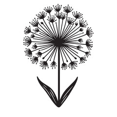 Allium Flower SVG