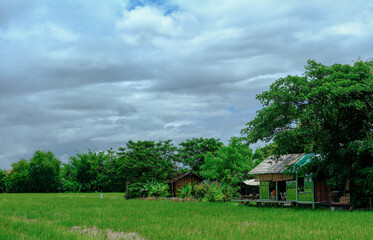 Obraz premium A hut in the fields.