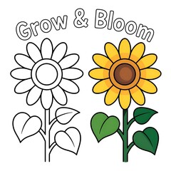 Grow and Bloom Sunflower Coloring Page