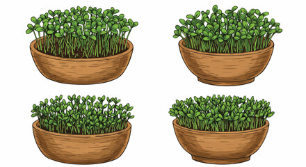 Various Microgreens and Sprouts in Wooden Bowls

