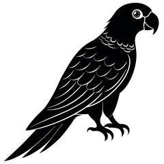 Fototapeta premium Simple Parrot silhouette vector illustration. 