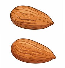 Single Almond Nut Isolated

