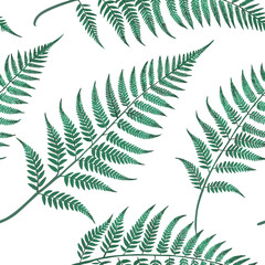 Seamless botanical pattern of fern leaves, soft green tones, natural light, high detail, top-down view, realistic texture