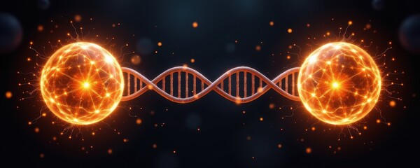 dna model stretching between two glowing spheres, symbolic of connection