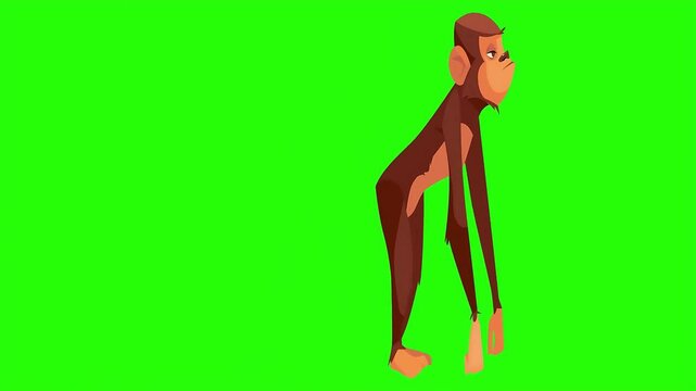 screen a monkey background against vibrant fur green skeptical Cartoon set brown standing expression