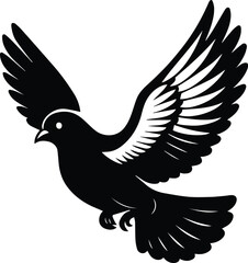 Pigeon bird flying  - Dove bird silhouette on transparent background