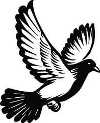 Pigeon bird flying  - Dove bird on transparent background