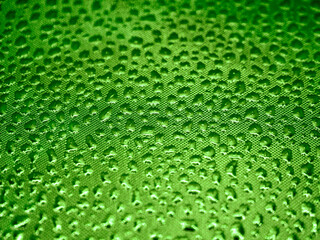 Abstract metallic green texture. There are a lot of bubbles on the lattice shiny background. Copy space.