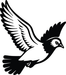Pigeon bird flying  - Dove bird on transparent background