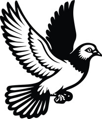 Pigeon bird flying  - Dove bird on transparent background