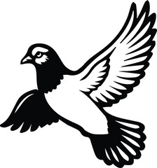 Obraz premium Pigeon bird flying - Dove bird on transparent background