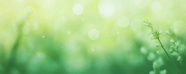 Fototapeta premium Blurry green spring backdrop with enchanting bokeh lights inviting creativity and tranquility in design