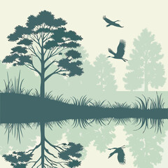 Liquid Reflection Symmetry