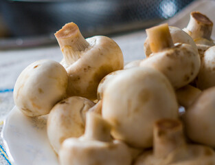 Freshly picked natural mushrooms