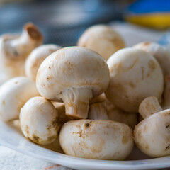 Freshly picked natural mushrooms
