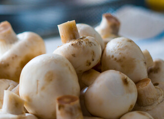 Freshly picked natural mushrooms