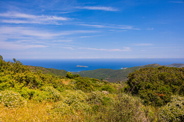 Obraz premium Paysage de maquis depuis les hauteur près du Moulin Mattei à Ersa, sur le Cap Corse en France