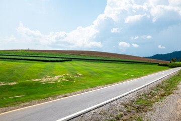 Countryside Road with Rolling Fields