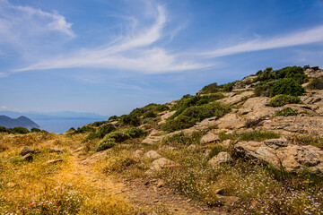 Paysage de maquis depuis les hauteur près du Moulin Mattei à Ersa, sur le Cap Corse en France