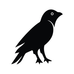 Obraz premium Black crow silhouette against white background minimalist design bird illustration animal icon