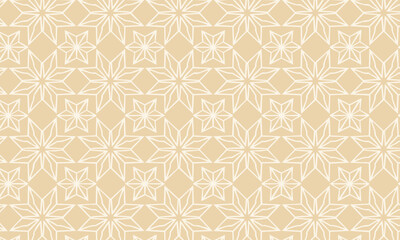 Delicate and Elegant Geometric Star Line Art Pattern