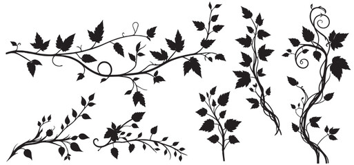ivy vine design element set, minimalistic vector of leaves,  pretty curving floral design isolated on white background, decorative wedding invitation`