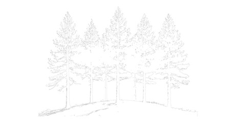 Tree Line Drawing and Architectural Outline with Nature Vector Illustration landscape design.
