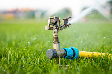 Garden, Grass Watering. Smart garden activated with full automatic sprinkler irrigation system...
