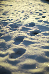 Snowy Footprints on Sunlit Path in Winter Landscape