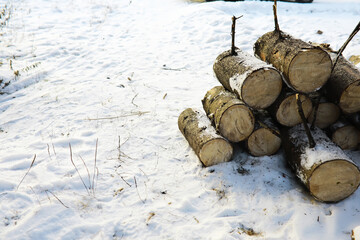 Stack of Cut Firewood Logs in Snowy Winter Landscape
