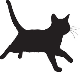 black cat vector illustration