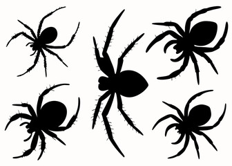 A big bundle of halloween spiders on Web Silhouette Perfect for Halloween project