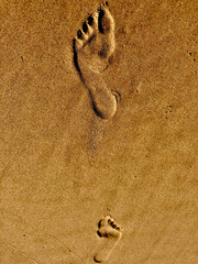 sobren&oacute;s;omundo