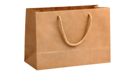 Brown Craft Paper Shopping Bag with Twisted Handle