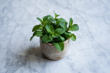 A photograph of freshly harvested raw mint leaves nestled inside a rustic ceramic cup on a cool, polished marble surface