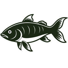 Isolated common carp fish silhouette illustration on white background