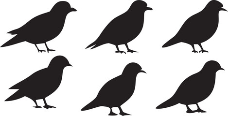 Fototapeta premium dark silhouette birds flying, monochrome minimalist bird illustration, vector graphic design birds, stark black and white bird silhouette art 