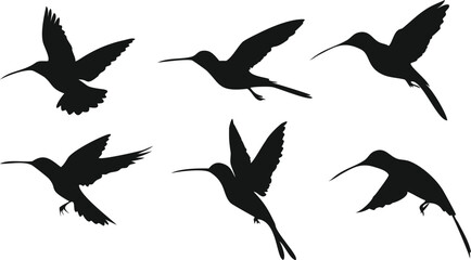 Obraz premium dark silhouette birds flying, monochrome minimalist bird illustration, vector graphic design birds, stark black and white bird silhouette art 