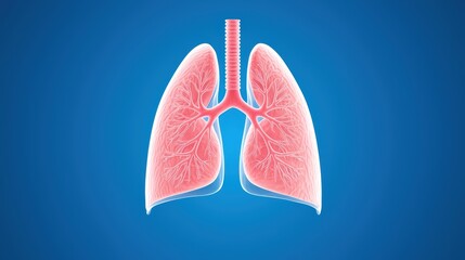 Anatomy of Human Lungs with Detailed Bronchial Structure on Blue Background