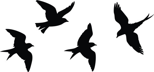 Obraz premium dark silhouette birds flying, monochrome minimalist bird illustration, vector graphic design birds, stark black and white bird silhouette art 