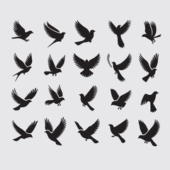 Minimal Flying Birds Silhouettes Vector Set, Clean Bird Shapes Collection